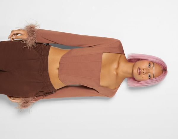 Tricko Bershka Long Sleeve Top With Feathers Damske Hnede | Eg7tMrfxE3y