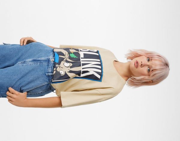 Tricko Bershka Oversize Kratke Sleeve Featuring Blink 182 Print Damske Hnede | MWeqvxC6YFF