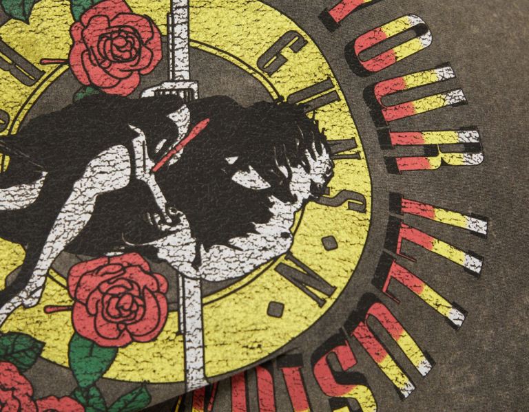 Tricko Bershka Guns N’ Roses Print Kratke Sleeve Damske Siva | h7dAmbjwWjB